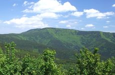 Pohled na Čertův mlýn, nejvyšší horu Zlínského kraje, 1206 m n.m. (v pozadí Kněhyně)- NPR Kněhyně-Čertův mlýn. Foto: Karel Pavelka