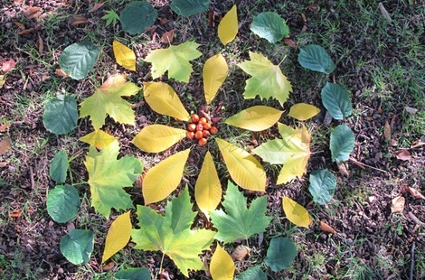 Land art tvoření 