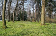 Park Kinských u zámku Kinských ve Valašském Meziříčí - Krásně (foto Tomáš Kašpar).